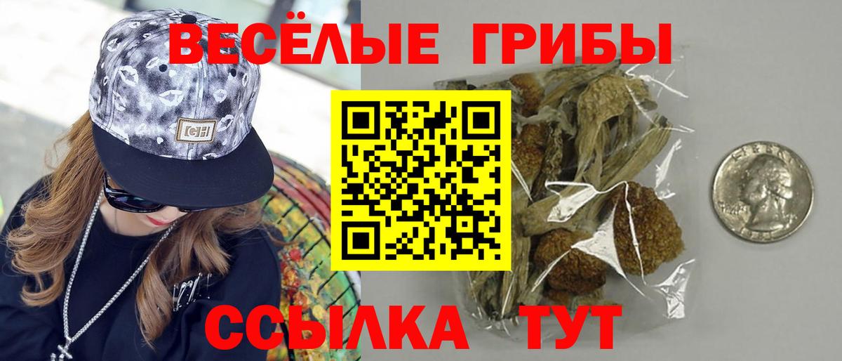 Псилоцибиновые грибы прущие грибы Вологда