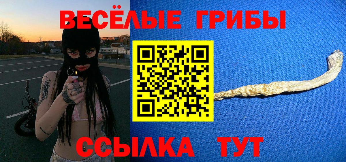Вологда  Галлюциногенные грибы прущие грибы  Вход с VPN 